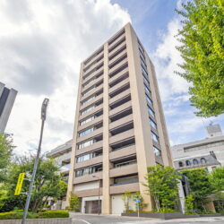 閑静な住宅街に佇むマンションです外観